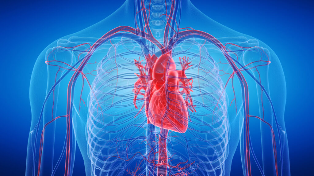 Uykudaki geni uyandırdılar: İnsan kalbi artık kendi kendini onarabilecek