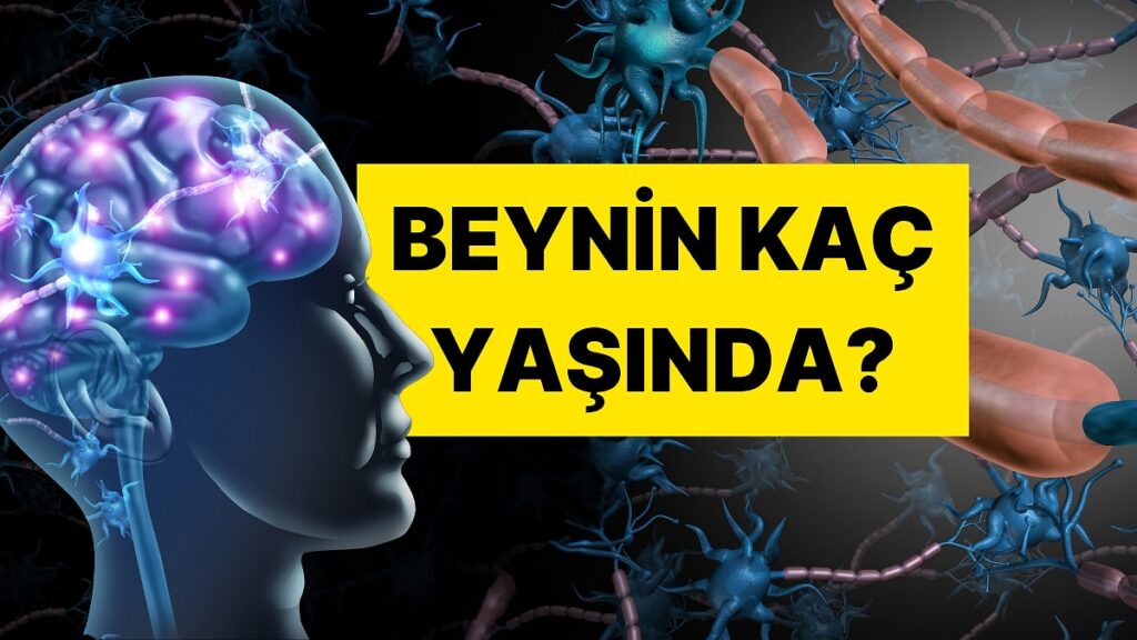 Ако сте отговорили с „Да“ на поне 3 от тези 5 въпроса, мозъкът ви е доста стар.