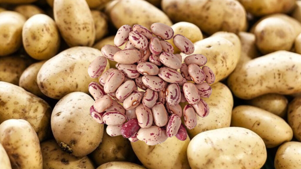 Картофите и бобът на Nigde’s влизат в рафтовете на Migros