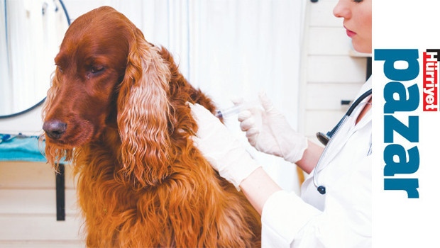 Aşı olmazlarsa tedavisi zor hastalıklar yaşayabilirler