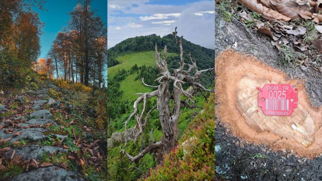 Няма да позволим ограбването на природата и вярата