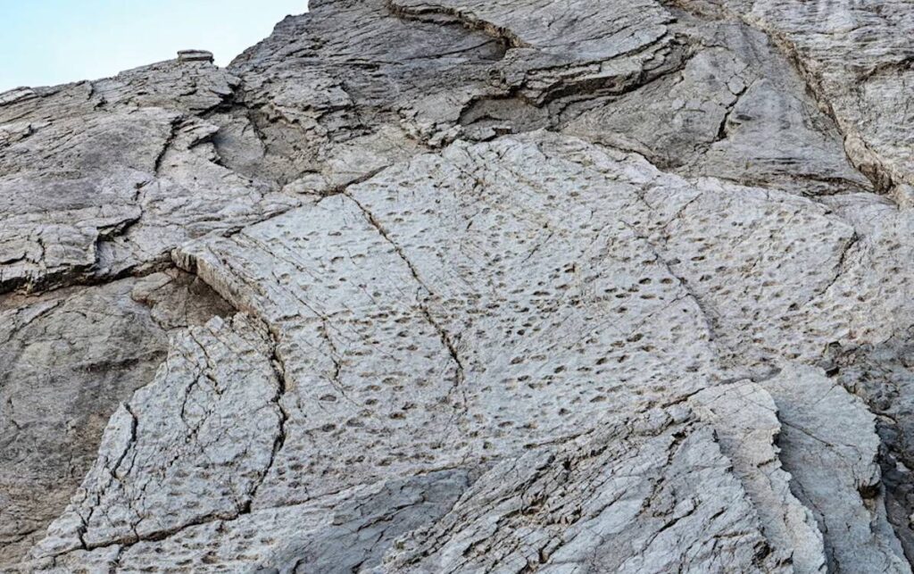 Италия: Следи от дългия поход на динозаврите преди 200 милиона години са открити по склоновете на Алпите