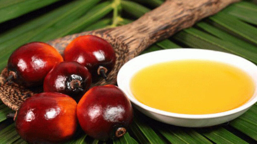 Palm yağı ithalatına sıkı denetim: Her partiye analiz zorunluluğu geliyor