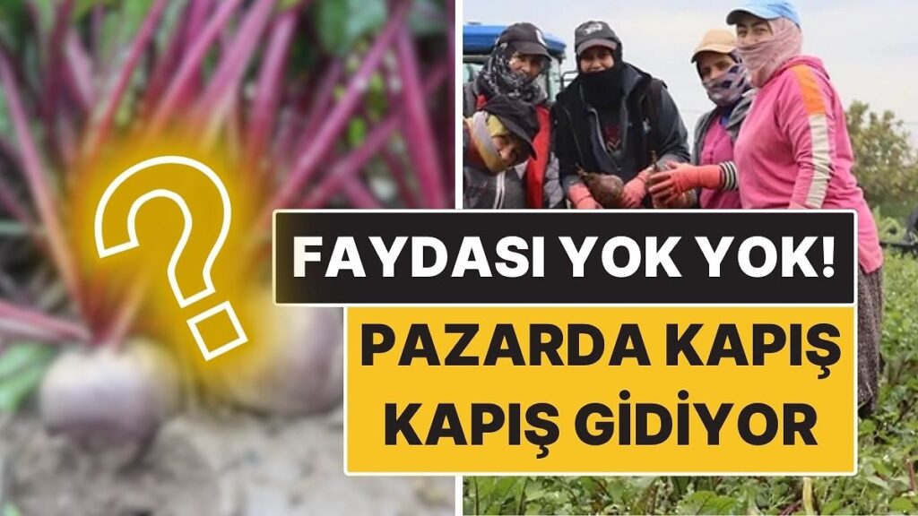 Faydası Yok Yok: Halk Arasında "Kırmızı Elmas" Diye Biliniyor! Kapış Kapış Gidiyor