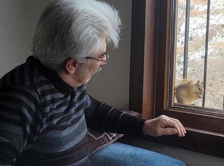 Camdaki misafir! Rıfkı her gün yemeğini almaya geliyor: Birlikte vakit geçiriyoruz